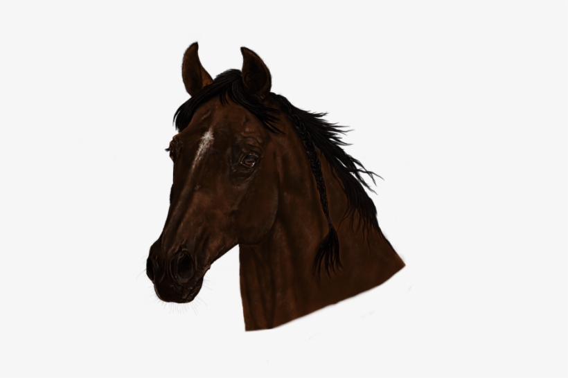 Horse Head Png - Sorrel, transparent png #9029990