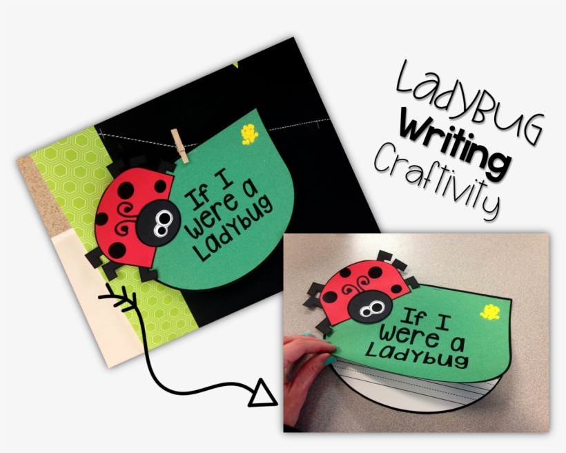 Students Will Write About If They Were A Ladybug - Ladybug, transparent png #9030961