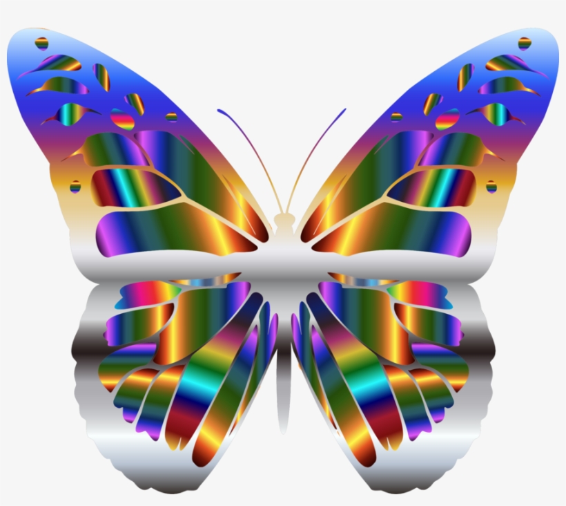 Brush-footed Butterflies Monarch Butterfly Animal Iridescence - Transparent White Butterfly Clipart, transparent png #9030967