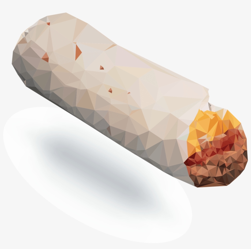 Clip Royalty Free Download It S A Bird Plane Wiley - Burrito Plane, transparent png #9031189