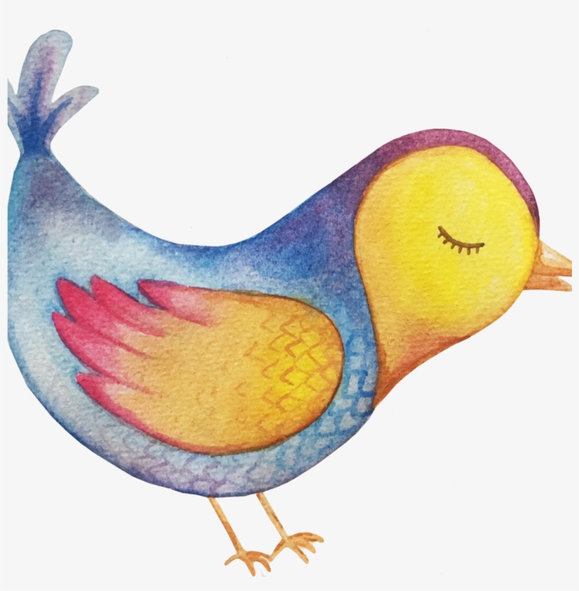 Explorando La Acuarela - Perching Bird, transparent png #9032250