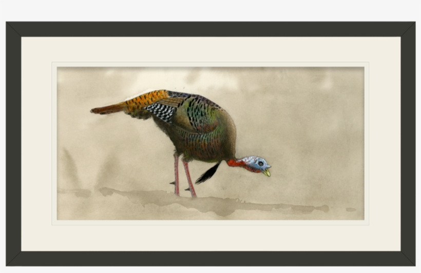 Feeding Tom Original Watercolor Painting - Picture Frame, transparent png #9032257