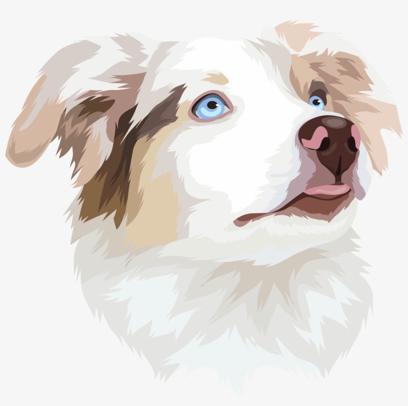 Kimberly In Easton, United States Purchased - Illustration, transparent png #9032869