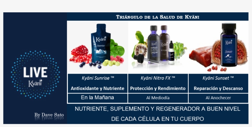 0 Replies 0 Retweets 1 Like - Kyani, transparent png #9034152