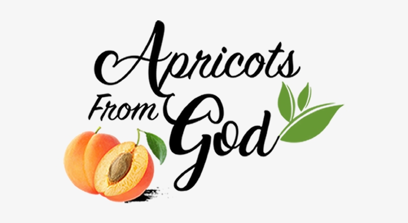 Sparticaldesign Logo Sparticaldesign Logo - Sign Fonts, transparent png #9034253