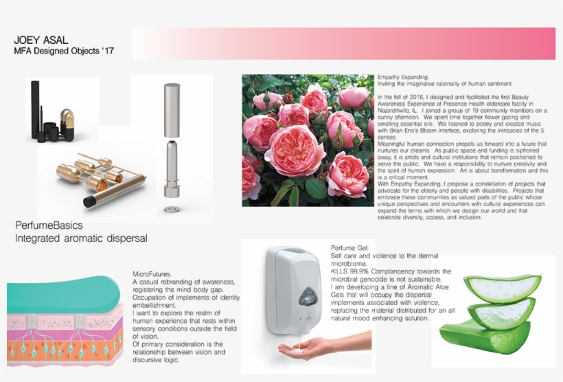 Some Design Notions, 2016, Variable - Chinese Peony, transparent png #9034361