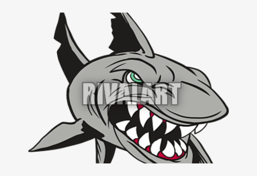 Shark Clipart Mean - Sharks, transparent png #9035209