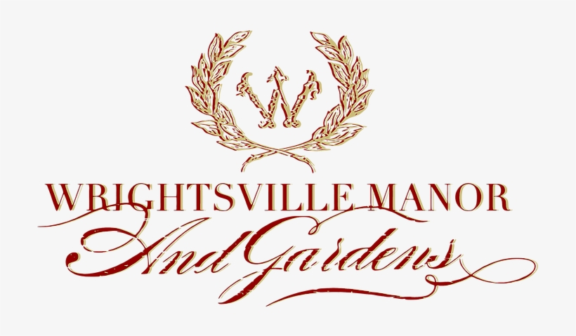 Tying The Knot At - Calligraphy, transparent png #9036971