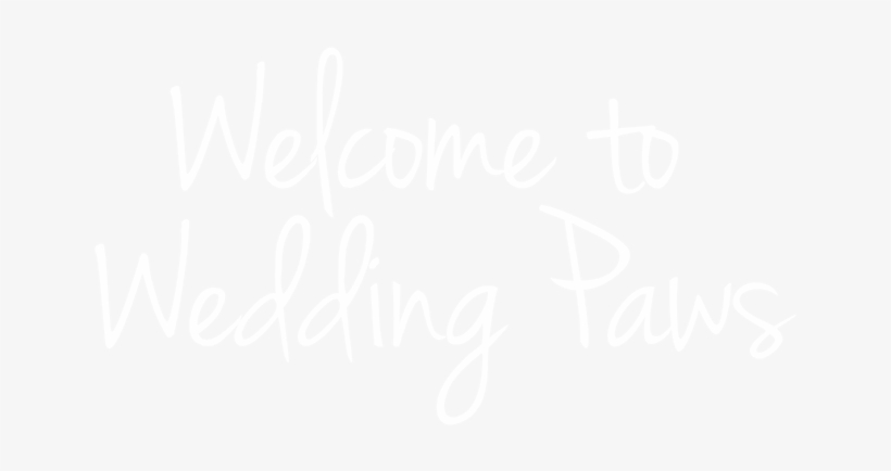Want To Make Sure That Your Vip Doesn't Miss Out On - Coca Cola White Logo, transparent png #9037689