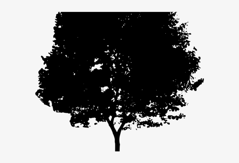 Shrub Clipart Thorn Bush - Дерево Силуэт Пнг, transparent png #9038430