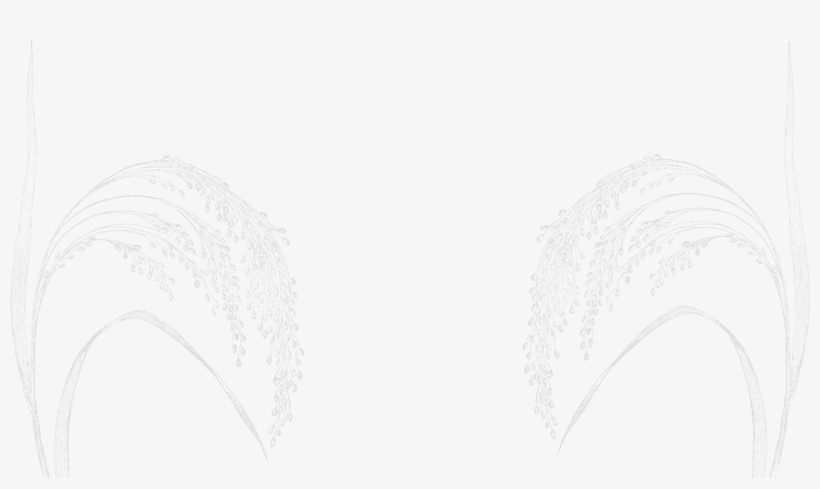 Están Fabricadas Con - Sketch, transparent png #9039413