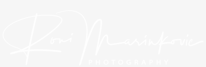 Roni Marinkovic Photography - Twitter White Bird Logo, transparent png #9040462