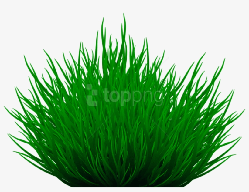 Free Png Download Grass Path Png Images Background - Illustration, transparent png #9040713
