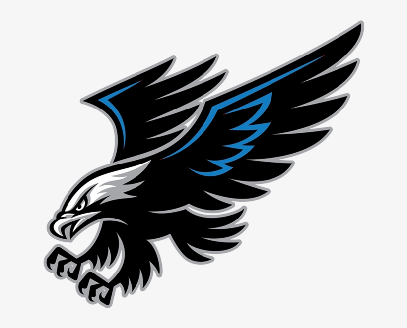 Hawk Decals, transparent png #9041821
