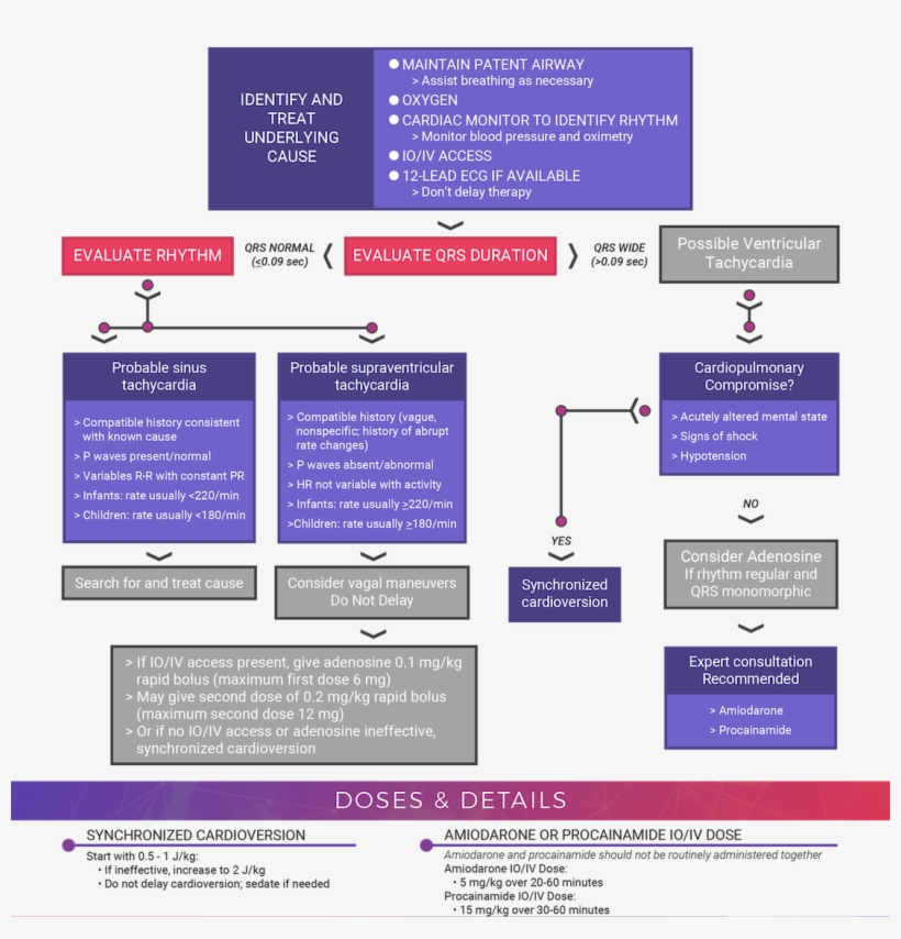 Pediatric Tachycardia With A Pulse And Poor Perfusion - Procainamide Vs Adenosine Vs Amiodarone, transparent png #9042991