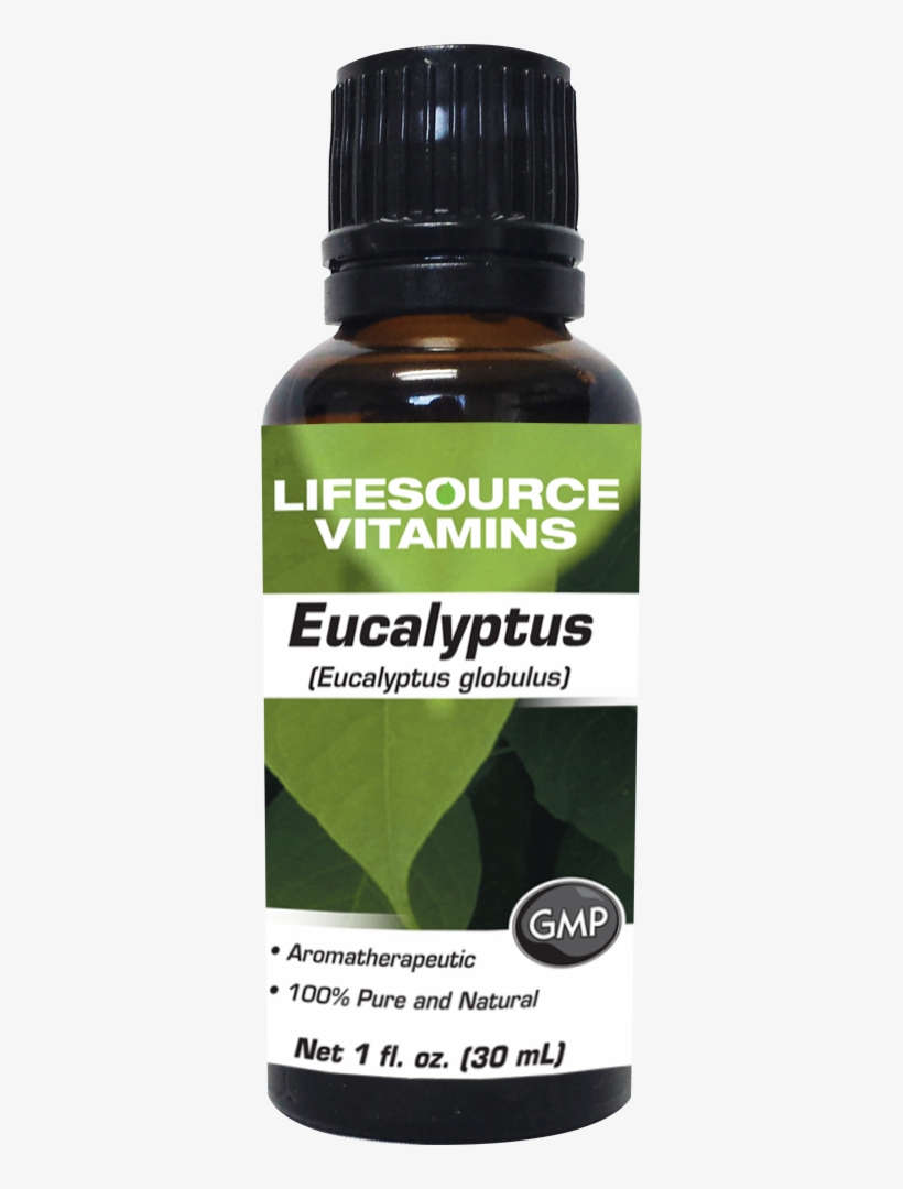 Eucalyptus Oil 1 Fl Oz - Saw Palmetto, transparent png #9043745