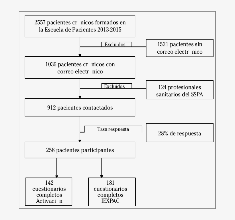 Proceso De Selección Muestral Y Tasa De Participación - Document, transparent png #9043907