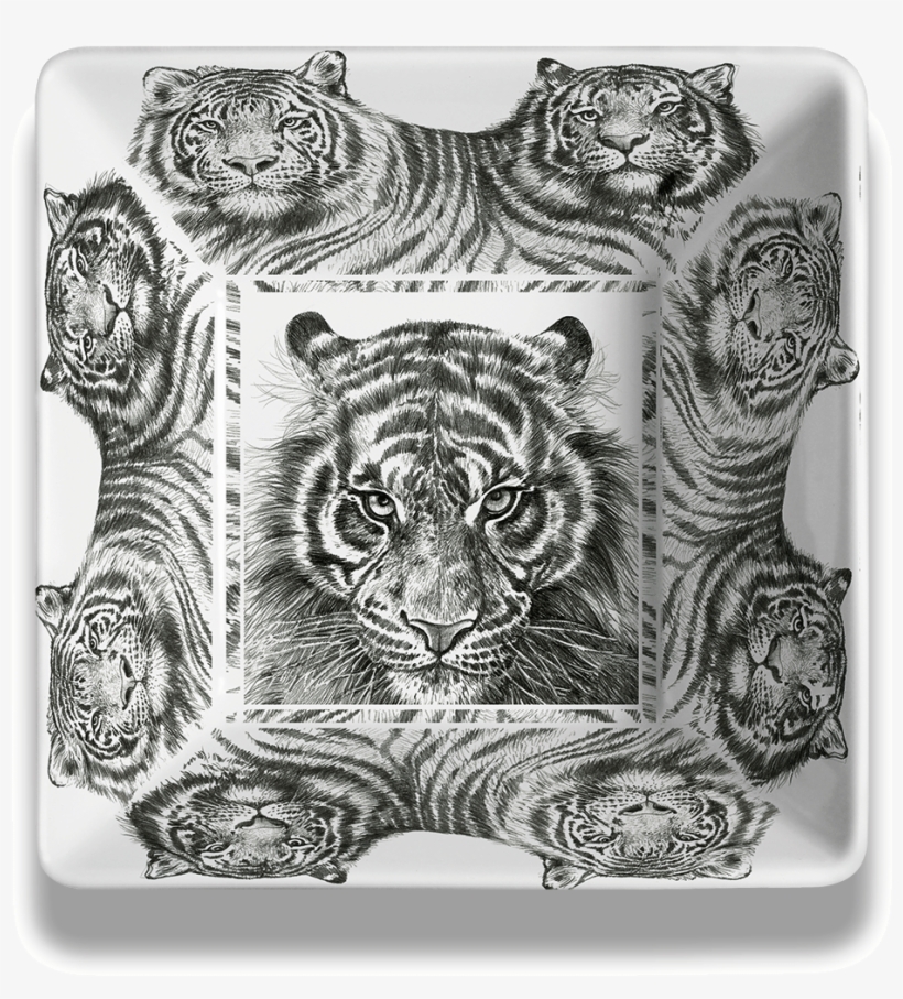 Bengal Tiger, transparent png #9046969