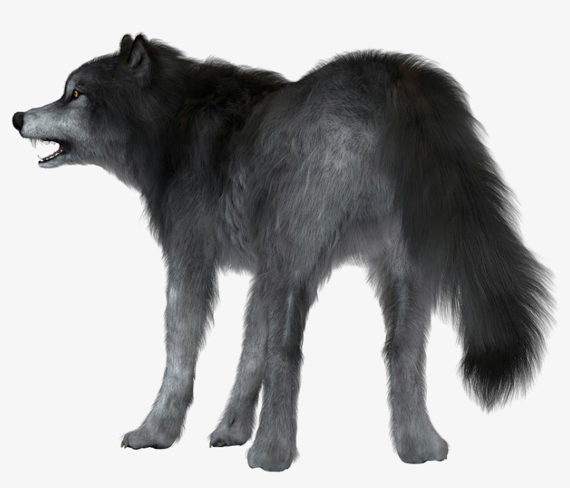 Dire Wolf White Background, transparent png #9047071