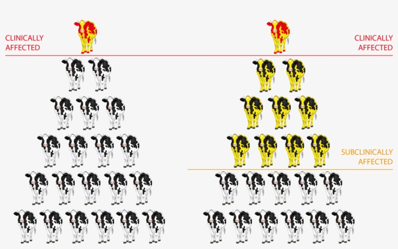 Image Source - Clinical Vs Subclinical Mastitis, transparent png #9047189