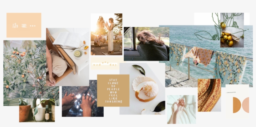 Bk Co, Wild Wagon Co, Shop Goodwin, The Binding - Collage, transparent png #9048379