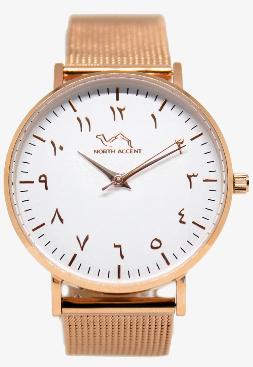Rose Gold Stainless Steel - Watch, transparent png #9051602