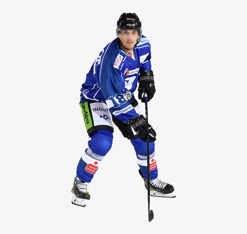 Nächster Artikel » - Straubing Tigers, transparent png #9053637