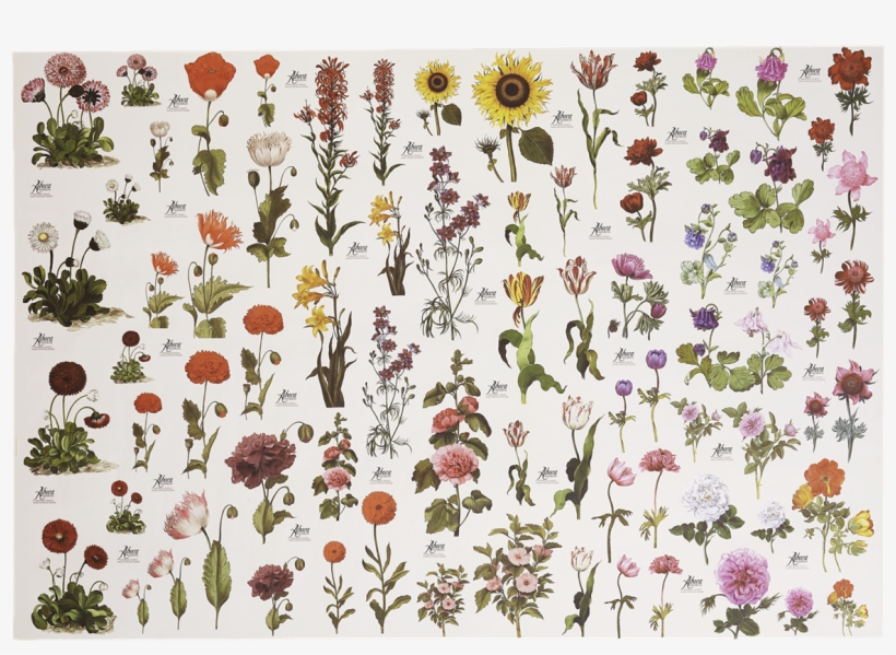 Picture Of Flower Paper - Motif, transparent png #9053936