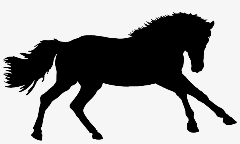Pferd Silhouette - Mane, transparent png #9054009