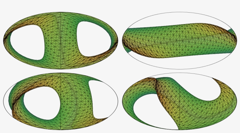 Hammer Projection - Snake, transparent png #9057029