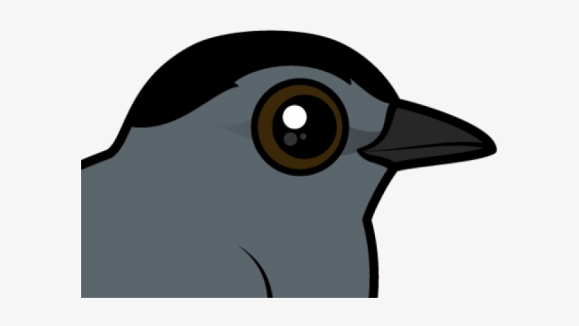 Old World Flycatcher, transparent png #9057530