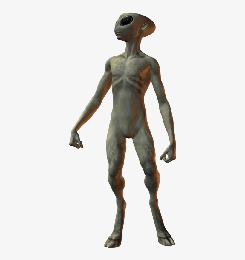 800 X 817 6 - Grey Alien Transparent, transparent png #9057720