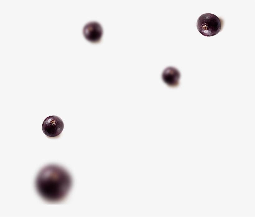 Abra Uma Franquia Kingdom Açaí - Macro Photography, transparent png #9057988