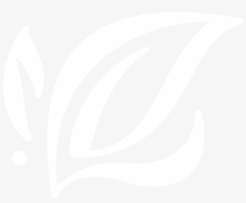 Photo Gallery - Graphic Design, transparent png #9058156