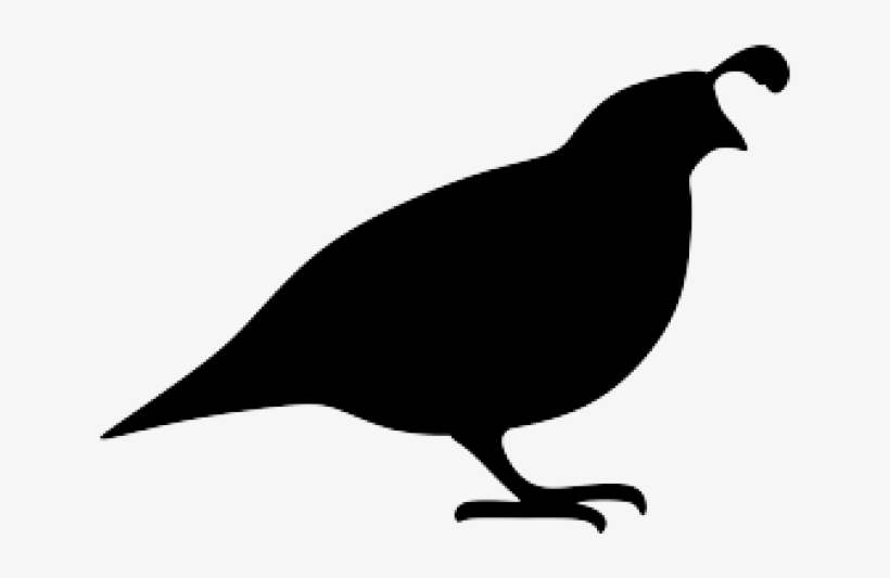 Quail Clipart Silhouette - Quail Silhouette Png, transparent png #9058883