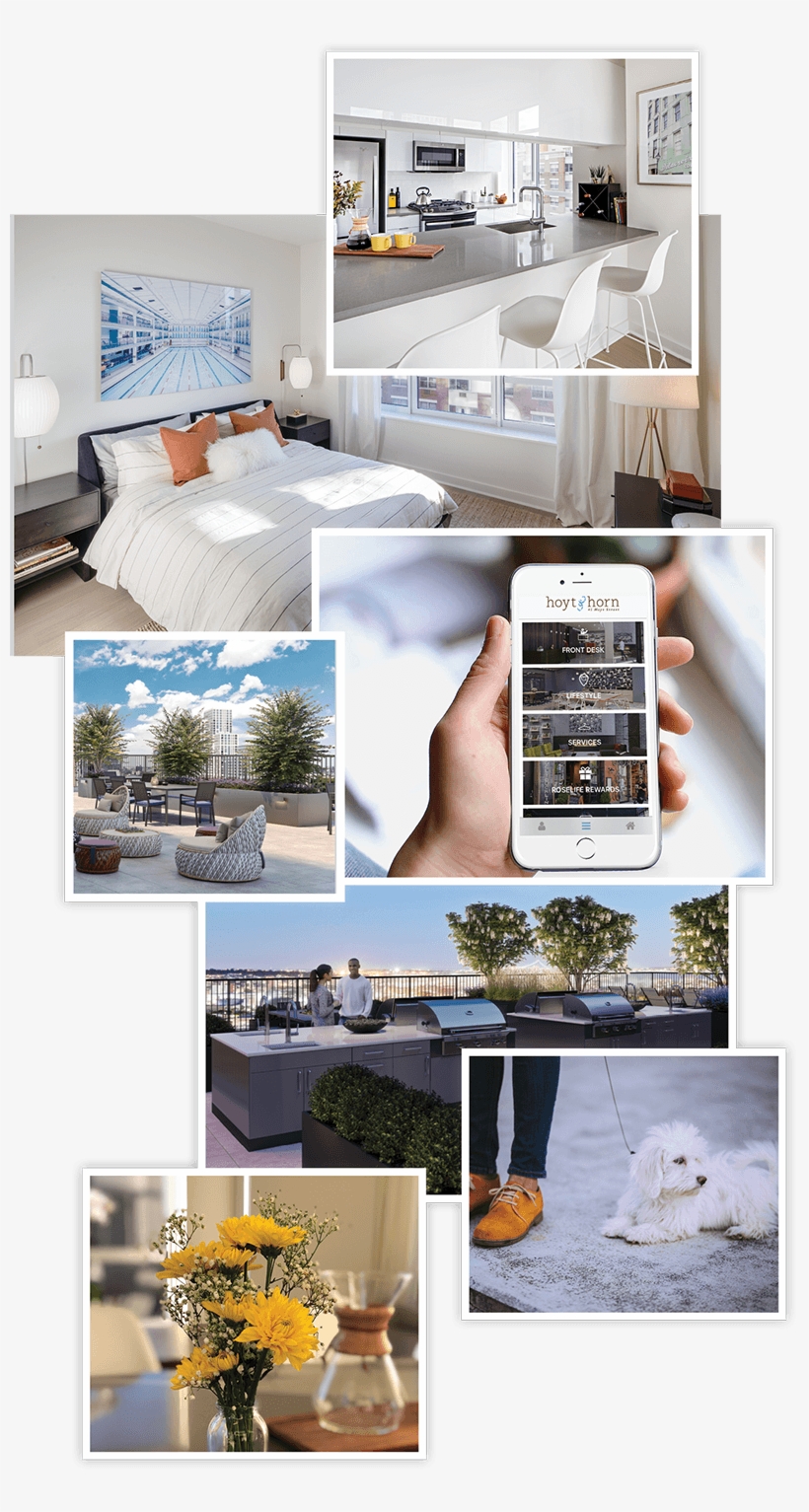 Interior Shots Of A Bedroom, Brand New Kitchen With - Bedroom, transparent png #9059571