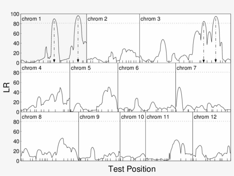 The Profile Plot Of The Log-likelihood Ratios Between - Diagram, transparent png #9059988