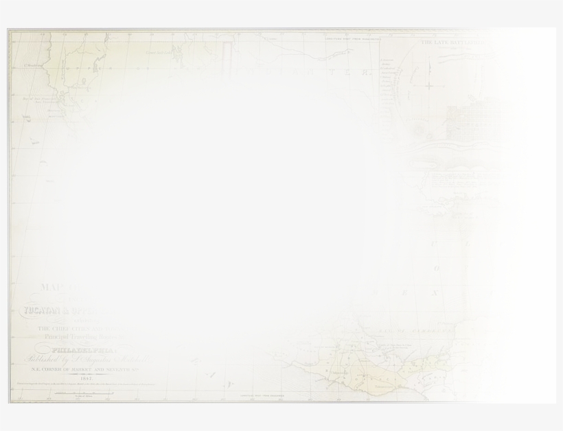 Shrimp Cocktail - Paper, transparent png #9060160