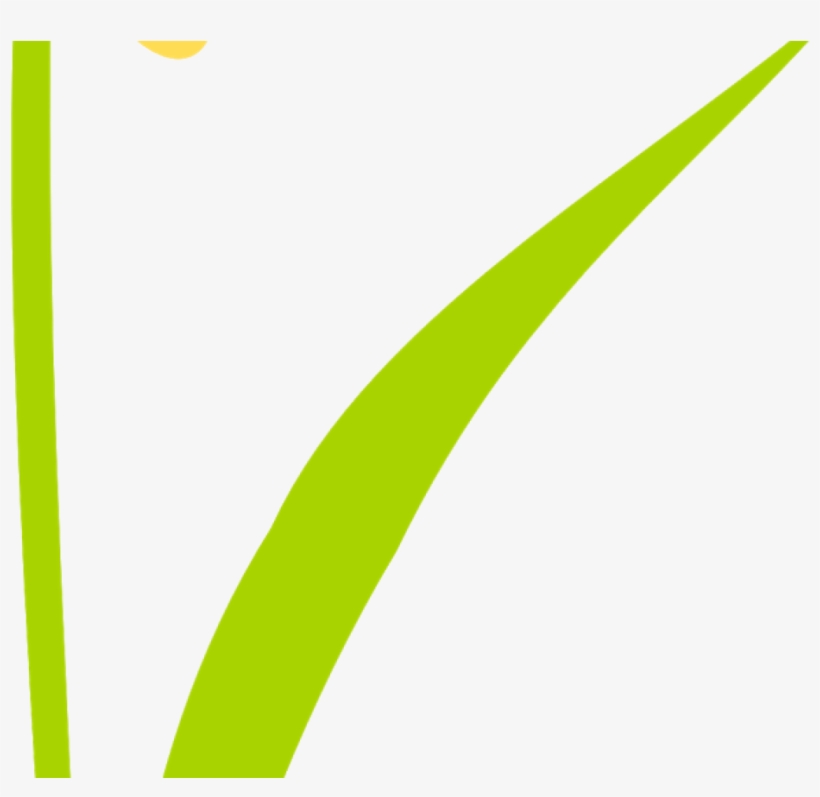 Free Scrap Flower Png Flower Scrapbooking Embellishment - Colorfulness, transparent png #9060826