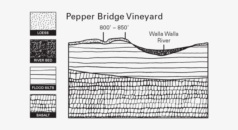 Pepper Bridge Vineyard Illustration - Cartoon, transparent png #9060897