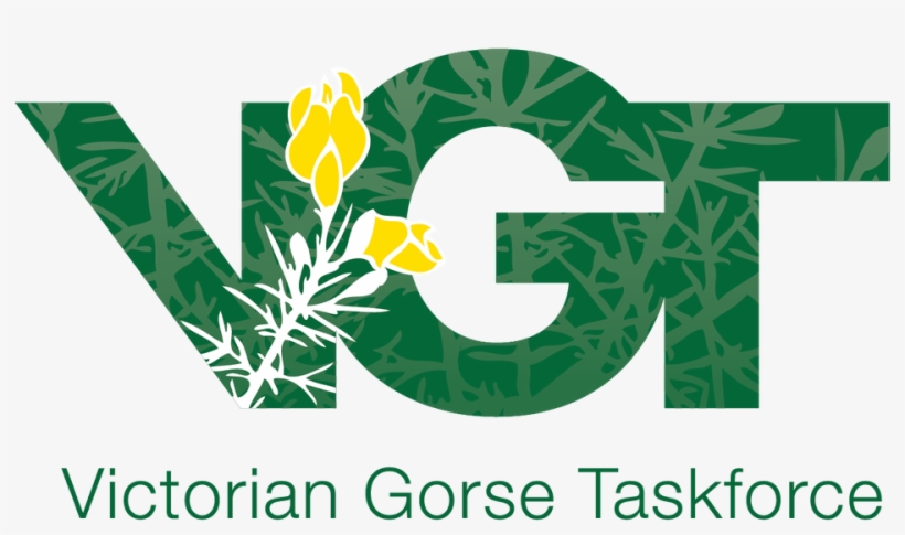 Explore Other Groups About - Català De Les Indústries Culturals, transparent png #9062610