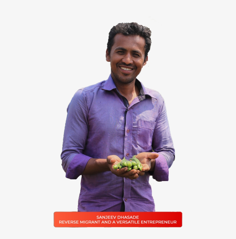 Swades - Natural Foods, transparent png #9063024