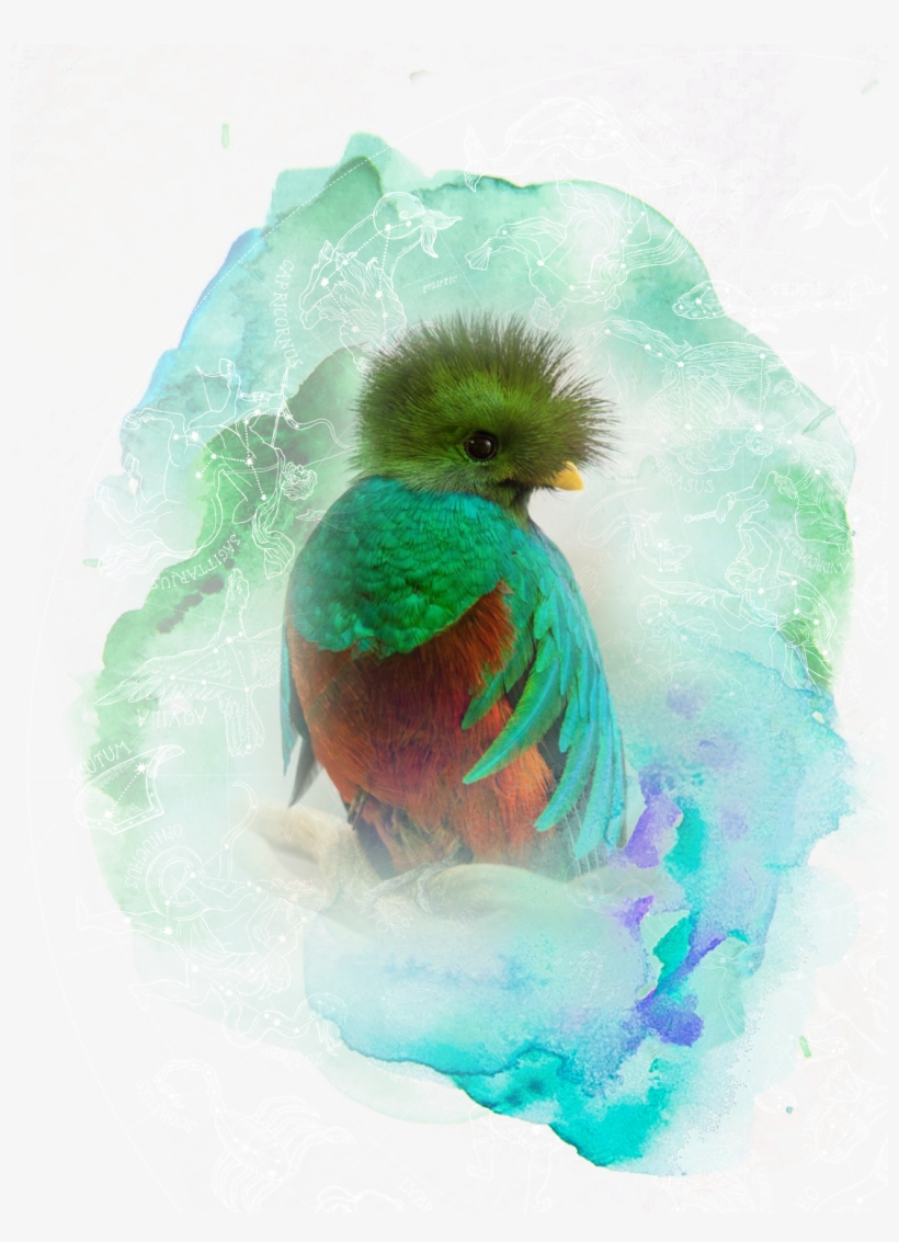 Step Into Your Essence - Roller, transparent png #9063405