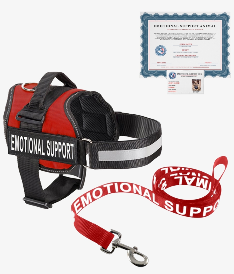Price - Emotional Support Dog Kit, transparent png #9063651