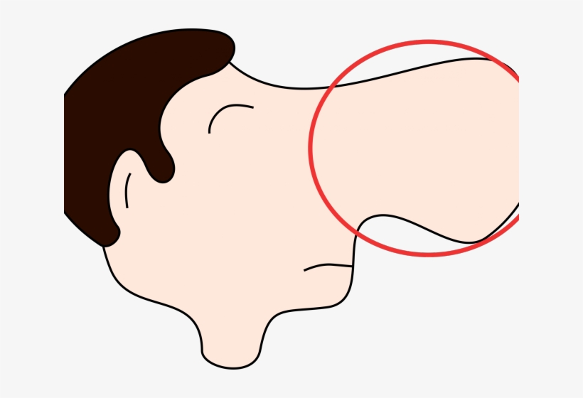 Nose Clipart Nose Smell - Big Nose Clipart, transparent png #9063946
