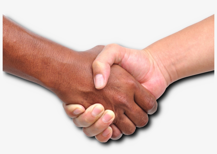 Thank You So Much For Your Interest In Joining Surfwatch - Alianza Terapeutica, transparent png #9064881