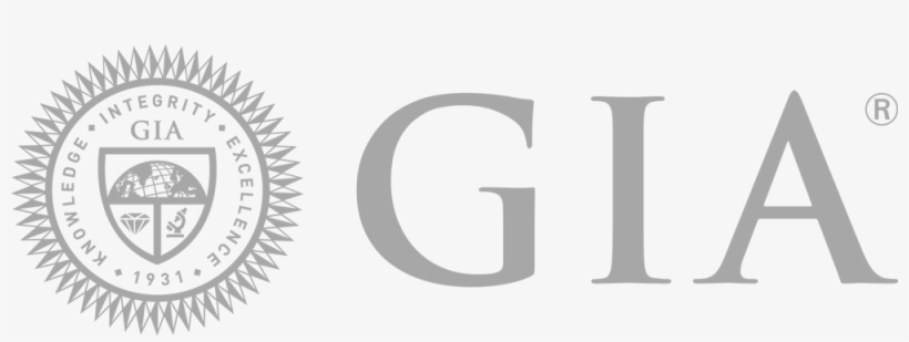 Map Link - Circle, transparent png #9065145