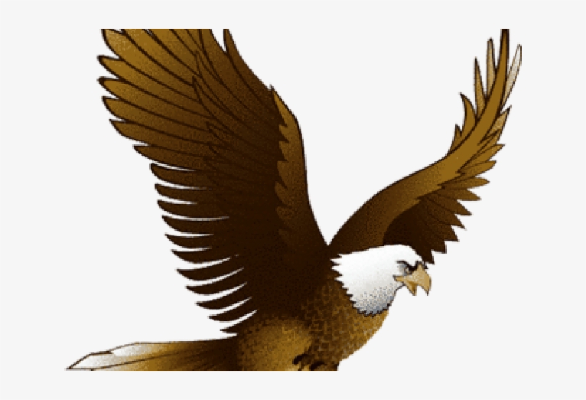 Golden Eagle Clipart Flying - Eagle Clipart Transparent Png, transparent png #9066607