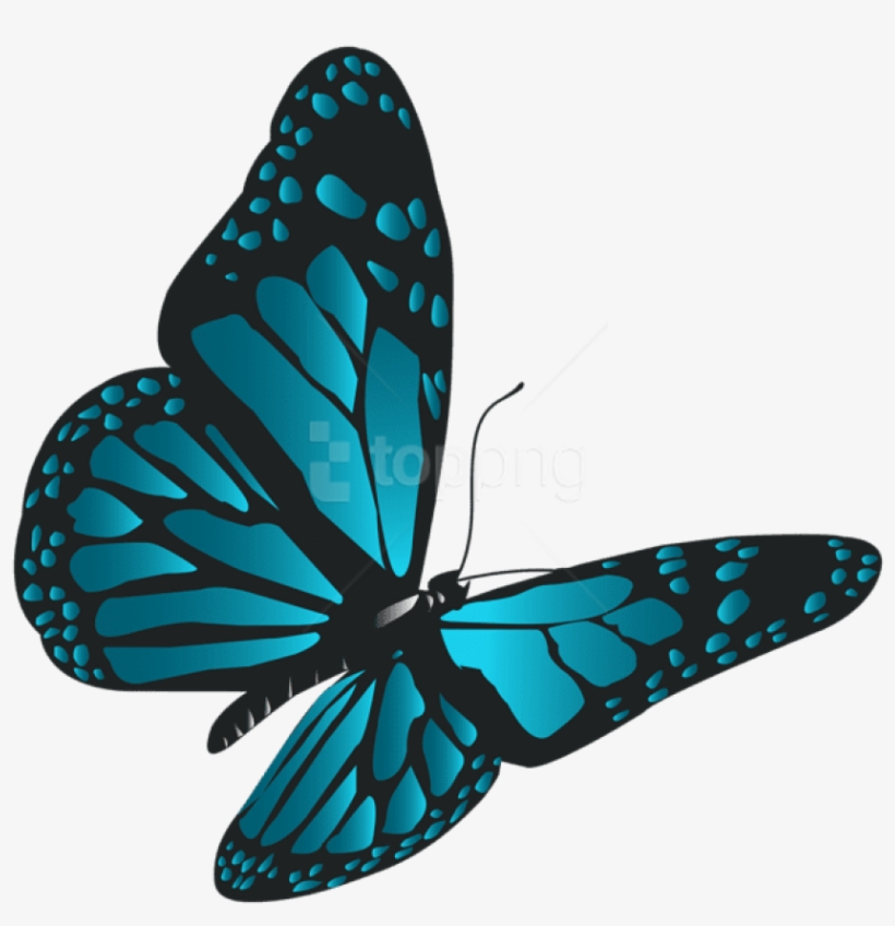 Free Png Download Blue Butterfly Png Clipart Png Photo - Png Format Butterfly Png, transparent png #9067874