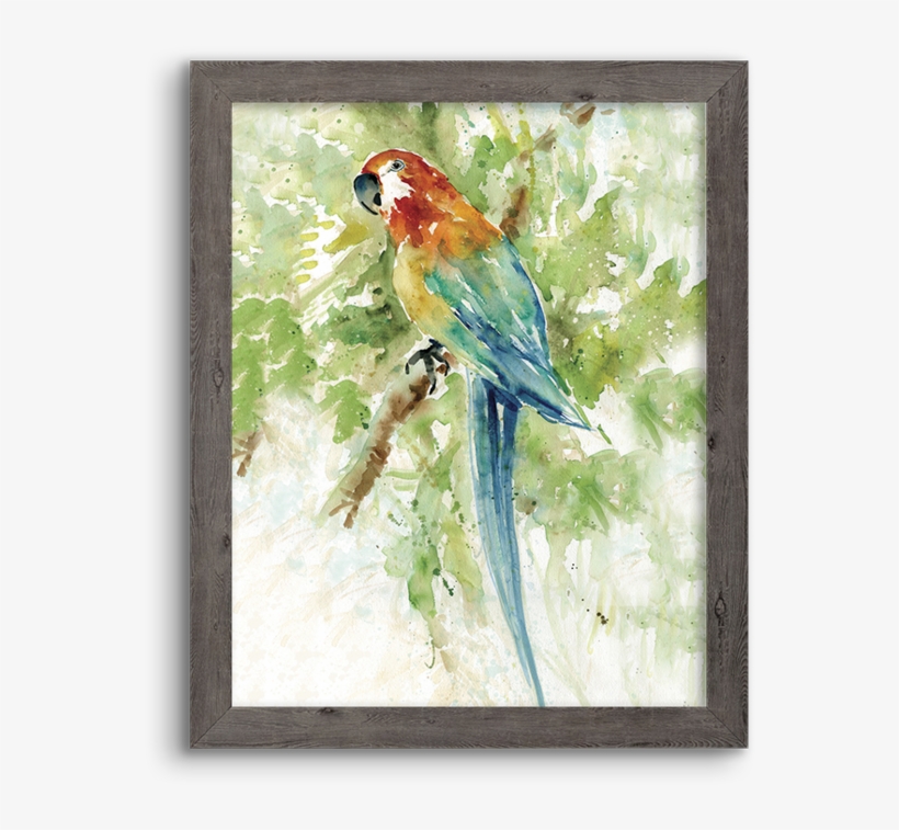 Watercolor Parrot - Watercolor Painting, transparent png #9068192